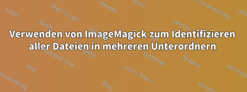 Verwenden von ImageMagick zum Identifizieren aller Dateien in mehreren Unterordnern