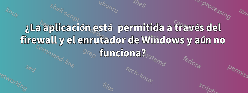 ¿La aplicación está permitida a través del firewall y el enrutador de Windows y aún no funciona?