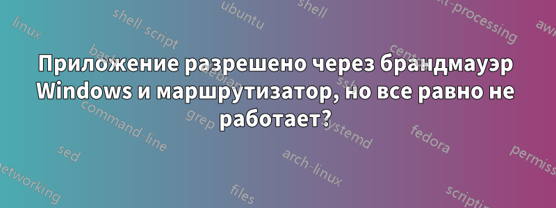 Приложение разрешено через брандмауэр Windows и маршрутизатор, но все равно не работает?