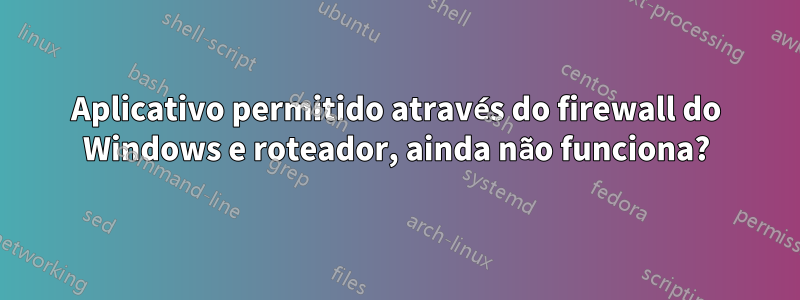 Aplicativo permitido através do firewall do Windows e roteador, ainda não funciona?