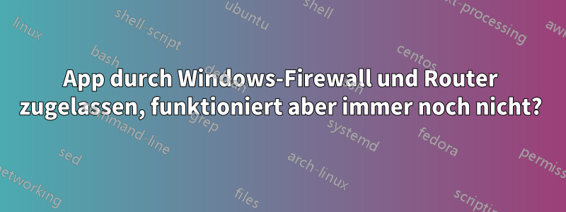 App durch Windows-Firewall und Router zugelassen, funktioniert aber immer noch nicht?