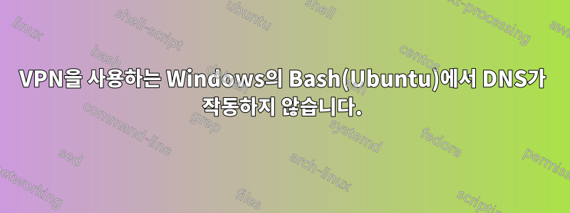 VPN을 사용하는 Windows의 Bash(Ubuntu)에서 DNS가 작동하지 않습니다.