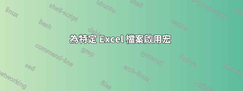 為特定 Excel 檔案啟用宏