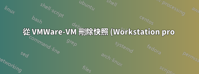 從 VMWare-VM 刪除快照 (Workstation pro)