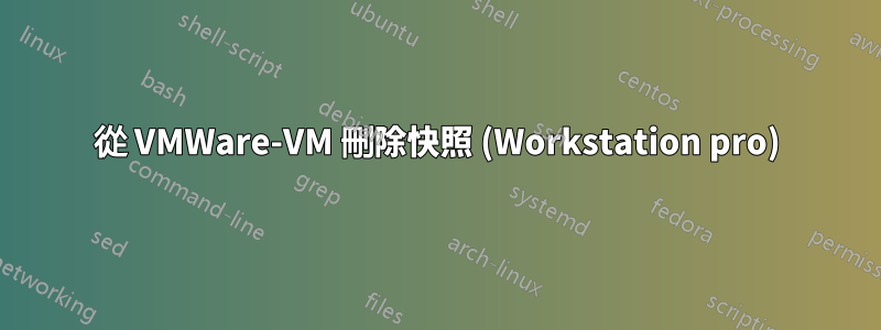 從 VMWare-VM 刪除快照 (Workstation pro)