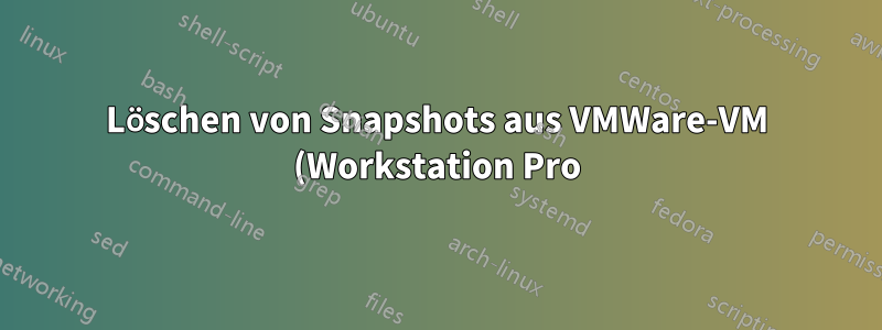 Löschen von Snapshots aus VMWare-VM (Workstation Pro)