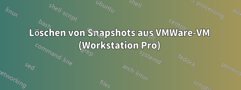 Löschen von Snapshots aus VMWare-VM (Workstation Pro)