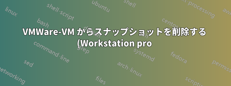 VMWare-VM からスナップショットを削除する (Workstation pro)