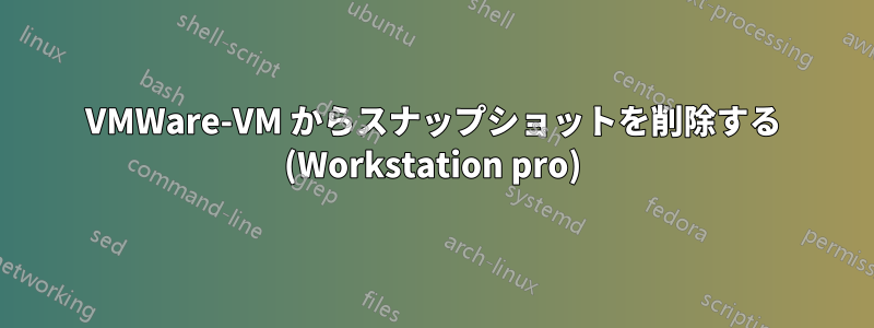 VMWare-VM からスナップショットを削除する (Workstation pro)