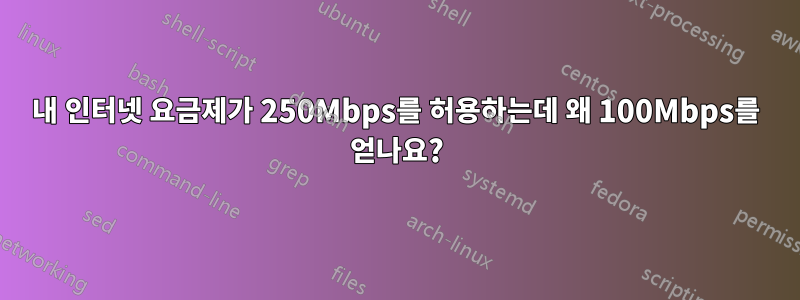 내 인터넷 요금제가 250Mbps를 허용하는데 왜 100Mbps를 얻나요?