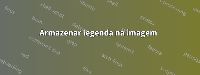 Armazenar legenda na imagem 