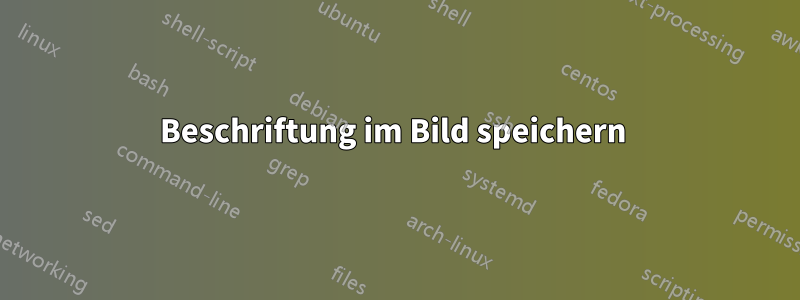 Beschriftung im Bild speichern 