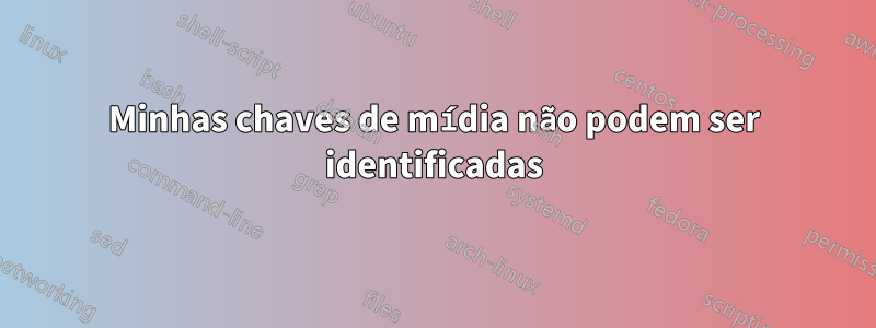 Minhas chaves de mídia não podem ser identificadas