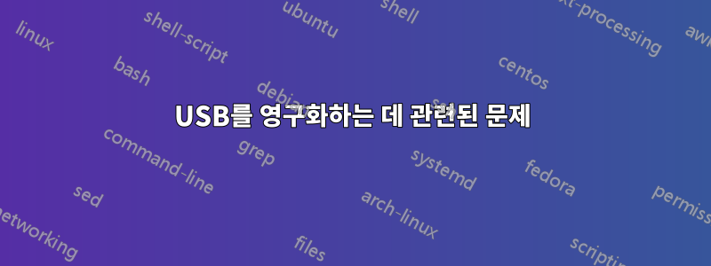 USB를 영구화하는 데 관련된 문제