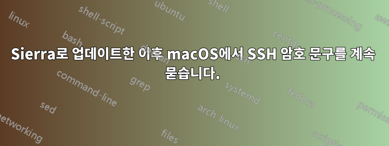 Sierra로 업데이트한 이후 macOS에서 SSH 암호 문구를 계속 묻습니다.