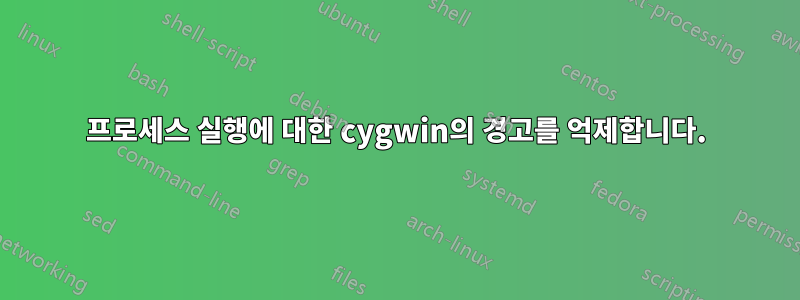 프로세스 실행에 대한 cygwin의 경고를 억제합니다.