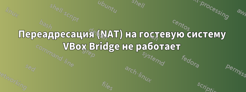 Переадресация (NAT) на гостевую систему VBox Bridge не работает