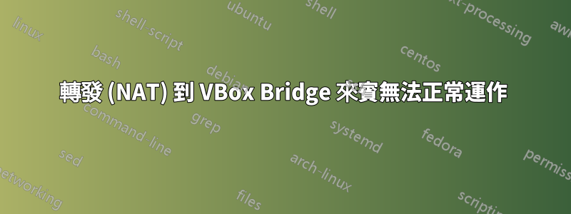 轉發 (NAT) 到 VBox Bridge 來賓無法正常運作