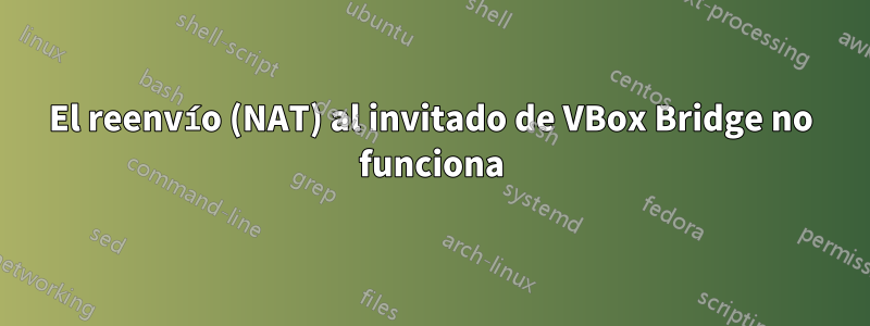 El reenvío (NAT) al invitado de VBox Bridge no funciona