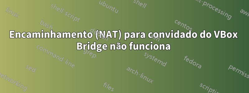 Encaminhamento (NAT) para convidado do VBox Bridge não funciona