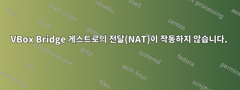 VBox Bridge 게스트로의 전달(NAT)이 작동하지 않습니다.