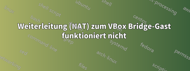 Weiterleitung (NAT) zum VBox Bridge-Gast funktioniert nicht