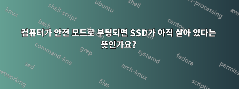 컴퓨터가 안전 모드로 부팅되면 SSD가 아직 살아 있다는 뜻인가요?