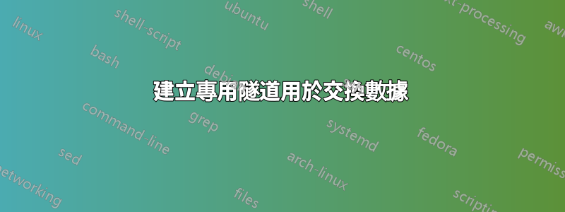 建立專用隧道用於交換數據