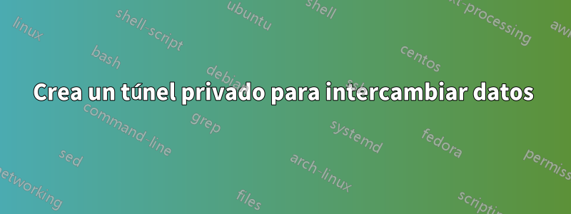 Crea un túnel privado para intercambiar datos