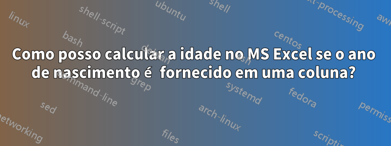 Como posso calcular a idade no MS Excel se o ano de nascimento é fornecido em uma coluna?