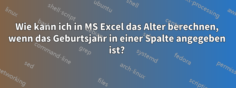 Wie kann ich in MS Excel das Alter berechnen, wenn das Geburtsjahr in einer Spalte angegeben ist?