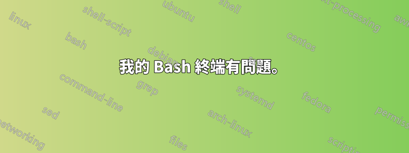 我的 Bash 終端有問題。