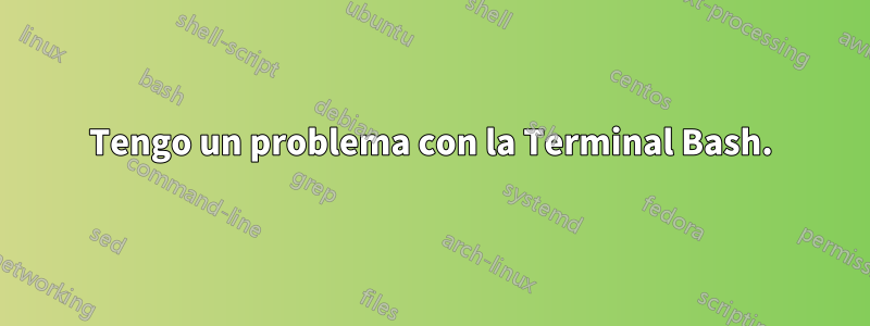 Tengo un problema con la Terminal Bash.