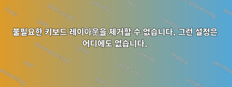 불필요한 키보드 레이아웃을 제거할 수 없습니다. 그런 설정은 어디에도 없습니다.