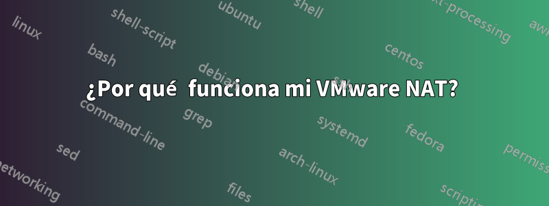 ¿Por qué funciona mi VMware NAT?