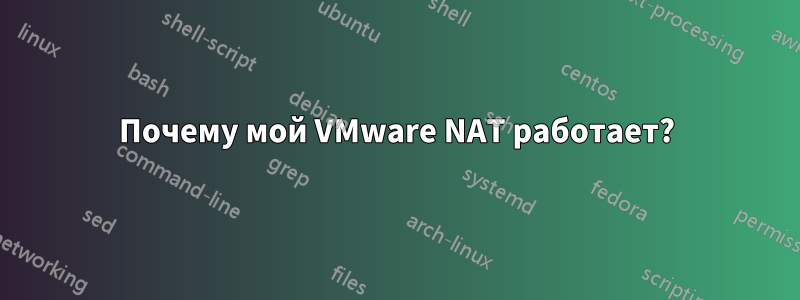 Почему мой VMware NAT работает?
