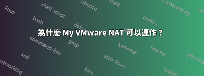 為什麼 My VMware NAT 可以運作？