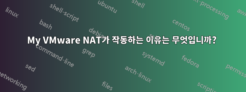 My VMware NAT가 작동하는 이유는 무엇입니까?