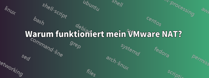 Warum funktioniert mein VMware NAT?
