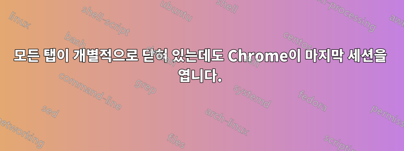 모든 탭이 개별적으로 닫혀 있는데도 Chrome이 마지막 세션을 엽니다.