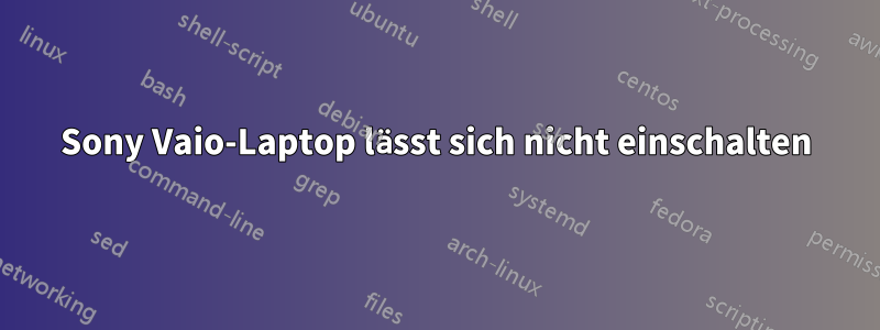 Sony Vaio-Laptop lässt sich nicht einschalten