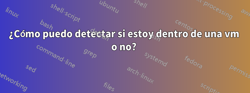 ¿Cómo puedo detectar si estoy dentro de una vm o no?