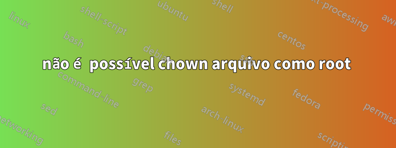 não é possível chown arquivo como root