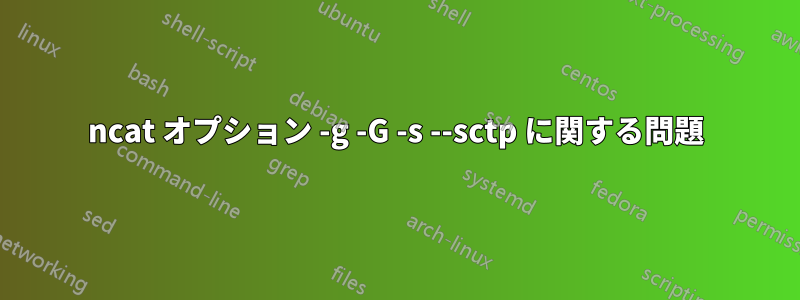 ncat オプション -g -G -s --sctp に関する問題