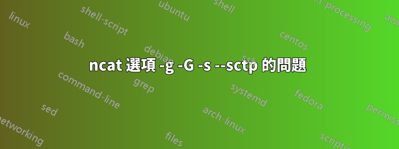 ncat 選項 -g -G -s --sctp 的問題