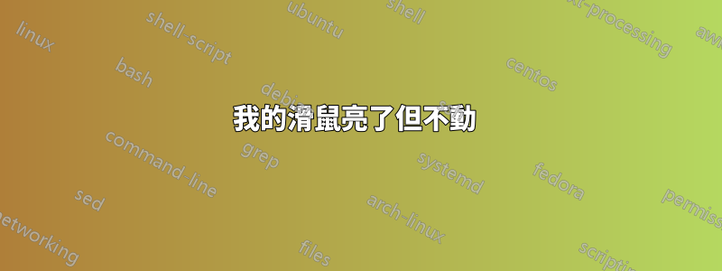 我的滑鼠亮了但不動 