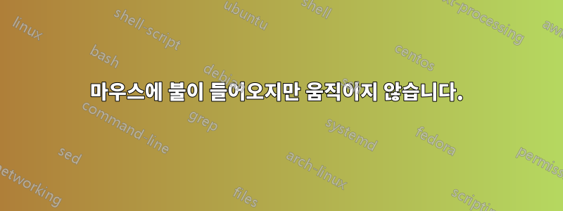 마우스에 불이 들어오지만 움직이지 않습니다. 