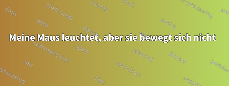 Meine Maus leuchtet, aber sie bewegt sich nicht 