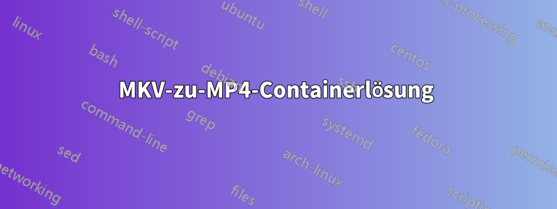 MKV-zu-MP4-Containerlösung