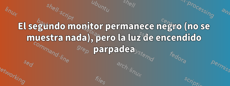 El segundo monitor permanece negro (no se muestra nada), pero la luz de encendido parpadea